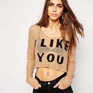 Rare Wildfox I Like You Cropped Sweater